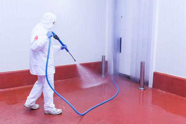 Best Factory Floor Cleaning  in Story City, IA